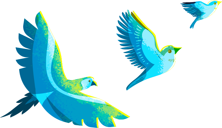 birds left
